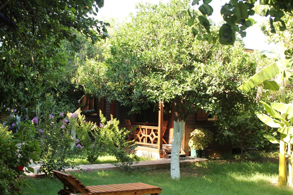 Grand Aygun Hotel Cirali Room photo