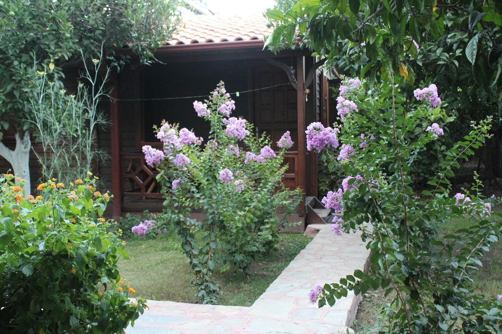 Grand Aygun Hotel Cirali Room photo