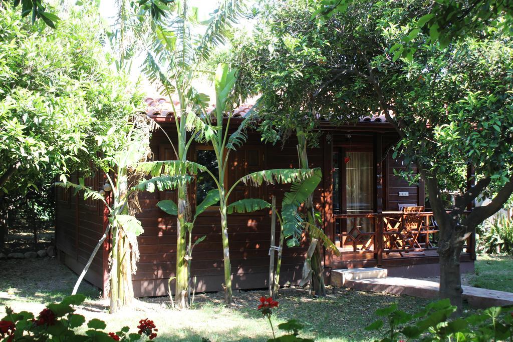 Grand Aygun Hotel Cirali Exterior photo